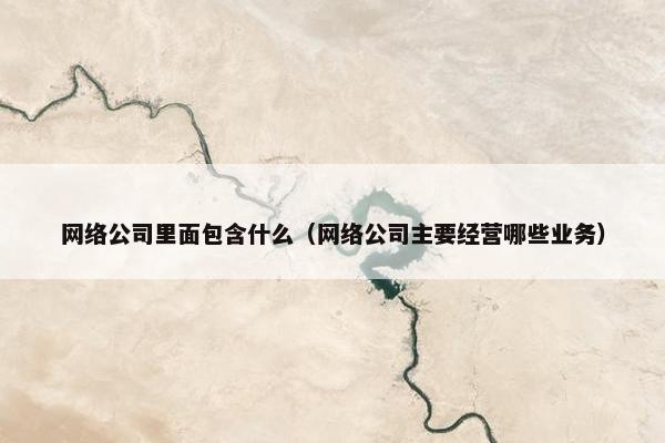 网络公司里面包含什么（网络公司主要经营哪些业务）