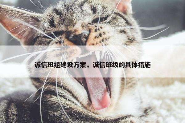 诚信班组建设方案，诚信班级的具体措施