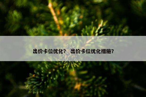 出价卡位优化？ 出价卡位优化措施？