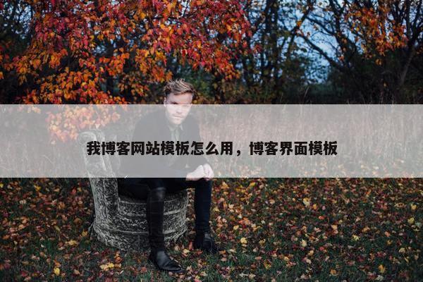 我博客网站模板怎么用，博客界面模板