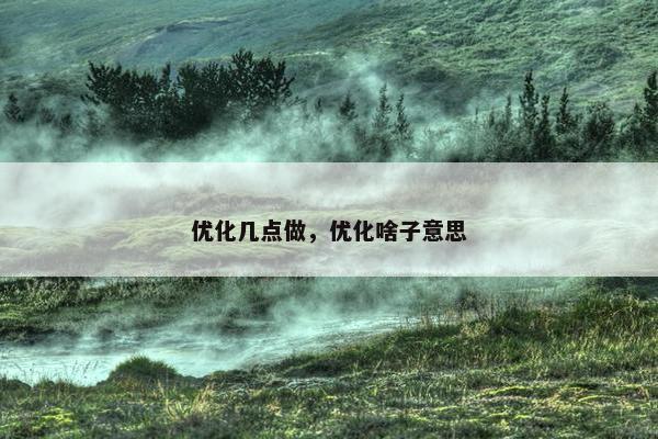 优化几点做，优化啥子意思