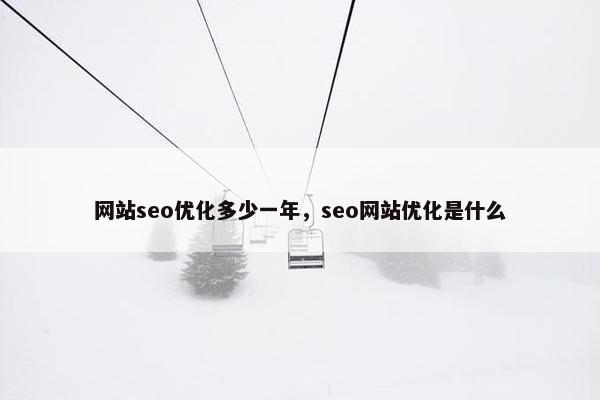 网站seo优化多少一年，seo网站优化是什么