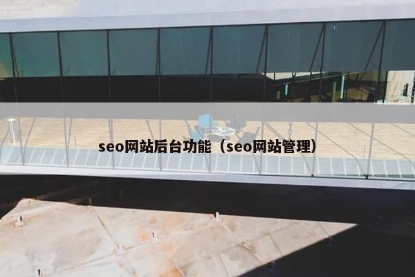 seo网站后台功能（seo网站管理）