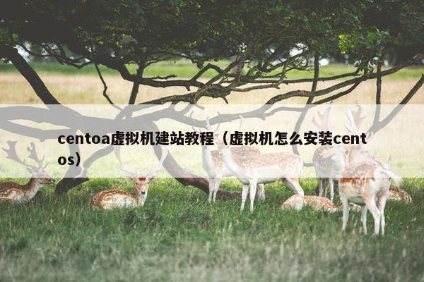centoa虚拟机建站教程（虚拟机怎么安装centos）