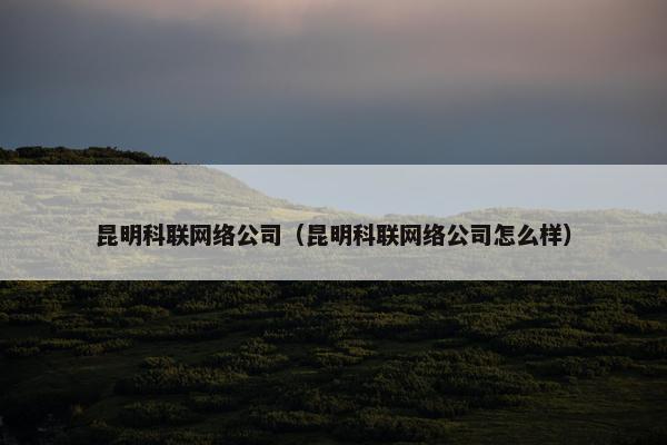 昆明科联网络公司（昆明科联网络公司怎么样）
