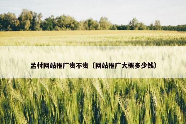 孟村网站推广贵不贵（网站推广大概多少钱）
