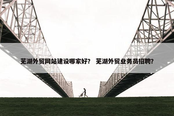 芜湖外贸网站建设哪家好？ 芜湖外贸业务员招聘？