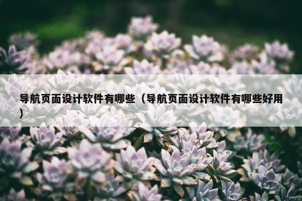 导航页面设计软件有哪些（导航页面设计软件有哪些好用）