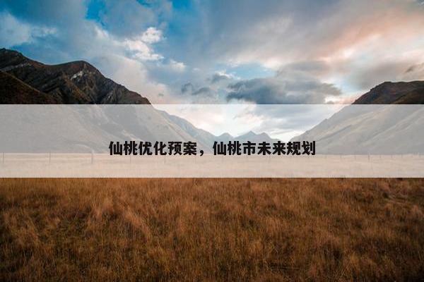 仙桃优化预案，仙桃市未来规划