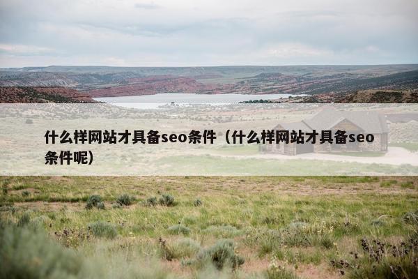 什么样网站才具备seo条件（什么样网站才具备seo条件呢）