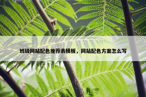 班级网站配色推荐表模板，网站配色方案怎么写