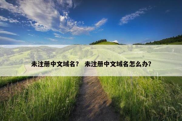 未注册中文域名？ 未注册中文域名怎么办？