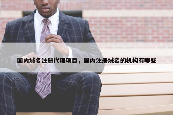 国内域名注册代理项目，国内注册域名的机构有哪些