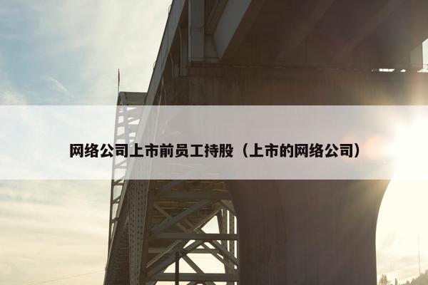网络公司上市前员工持股（上市的网络公司）