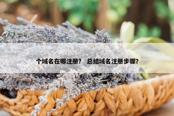 个域名在哪注册？ 总结域名注册步骤？