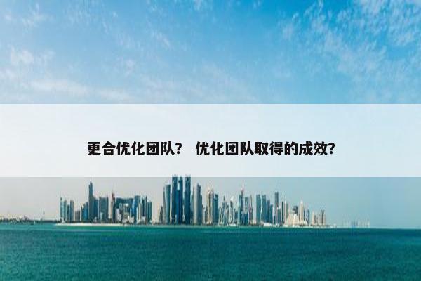 更合优化团队？ 优化团队取得的成效？