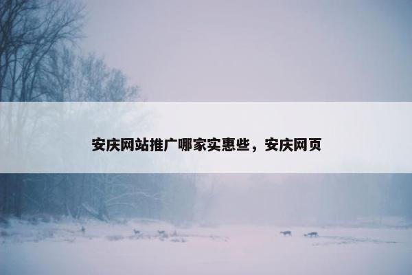 安庆网站推广哪家实惠些，安庆网页