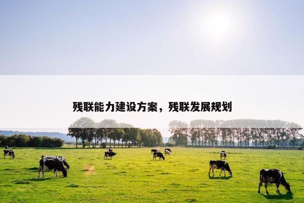 残联能力建设方案，残联发展规划