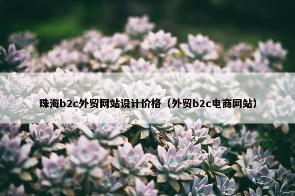 珠海b2c外贸网站设计价格（外贸b2c电商网站）