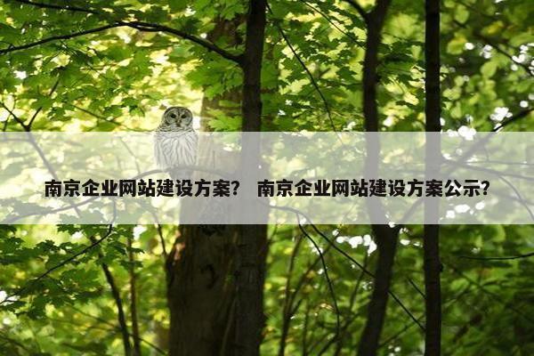 南京企业网站建设方案？ 南京企业网站建设方案公示？