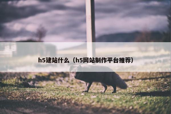h5建站什么（h5网站制作平台推荐）
