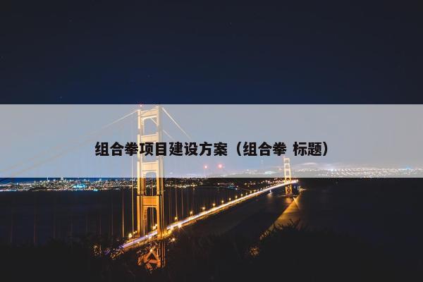 组合拳项目建设方案（组合拳 标题）