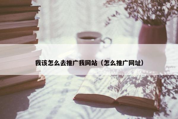 我该怎么去推广我网站（怎么推广网址）