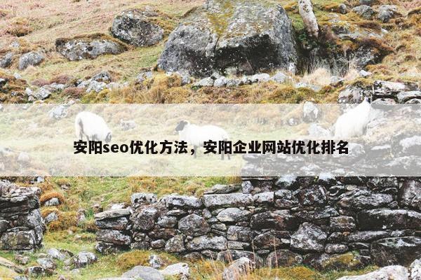 安阳seo优化方法，安阳企业网站优化排名