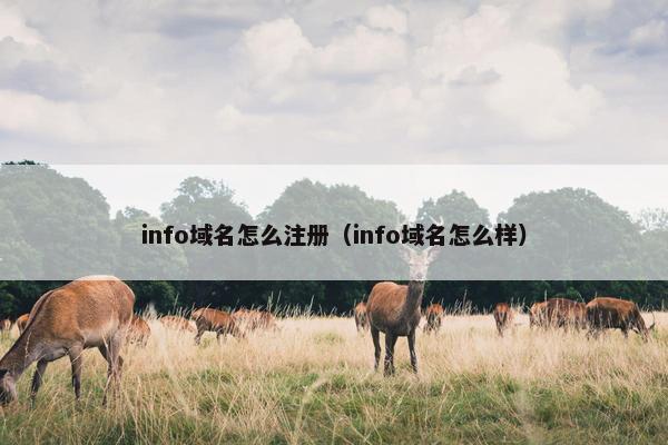 info域名怎么注册（info域名怎么样）