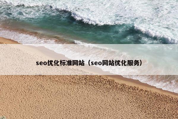 seo优化标准网站（seo网站优化服务）