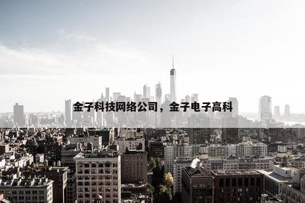 金子科技网络公司，金子电子高科