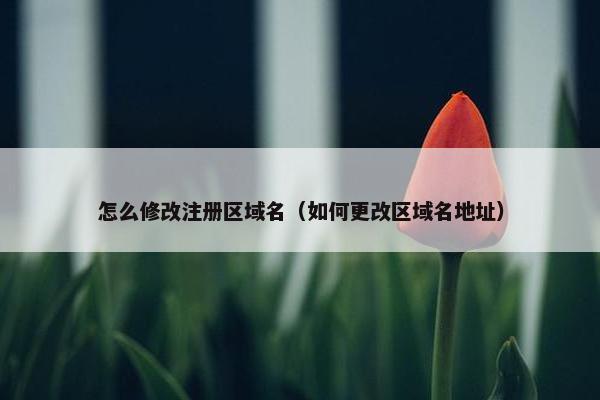怎么修改注册区域名（如何更改区域名地址）