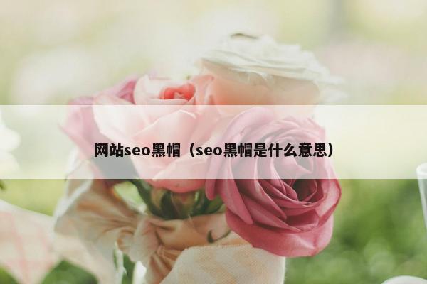 网站seo黑帽（seo黑帽是什么意思）