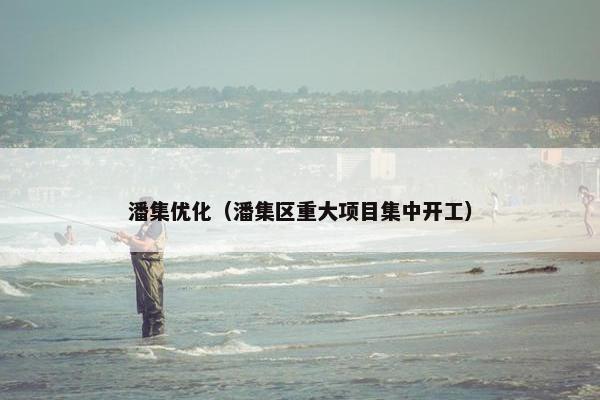 潘集优化（潘集区重大项目集中开工）