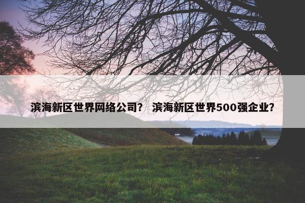 滨海新区世界网络公司？ 滨海新区世界500强企业？