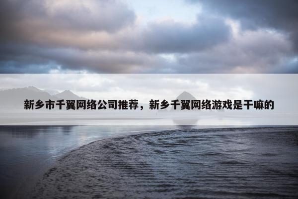新乡市千翼网络公司推荐，新乡千翼网络游戏是干嘛的