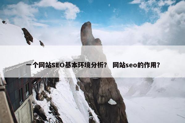 一个网站SEO基本环境分析？ 网站seo的作用？
