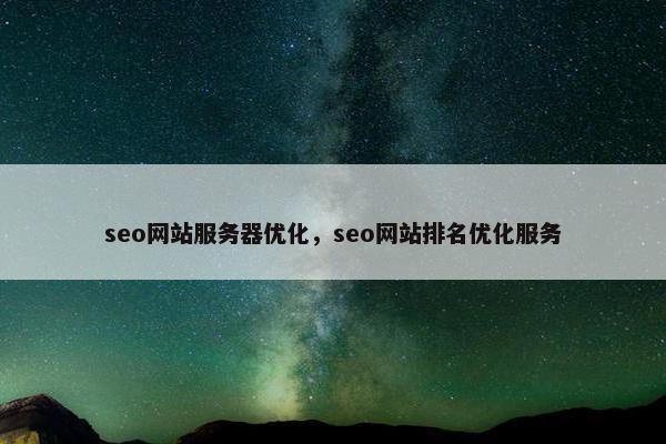 seo网站服务器优化，seo网站排名优化服务
