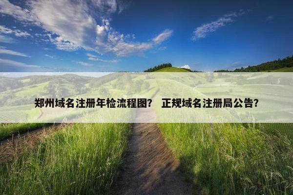 郑州域名注册年检流程图？ 正规域名注册局公告？
