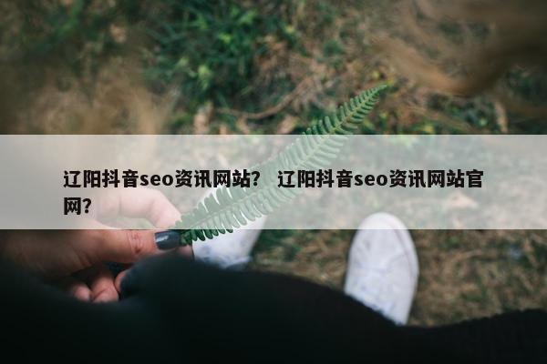辽阳抖音seo资讯网站？ 辽阳抖音seo资讯网站官网？