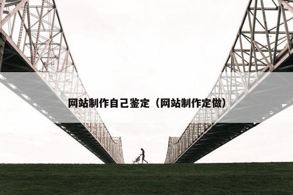 网站制作自己鉴定（网站制作定做）
