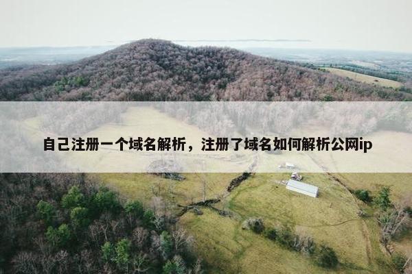 自己注册一个域名解析，注册了域名如何解析公网ip