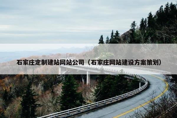 石家庄定制建站网站公司（石家庄网站建设方案策划）