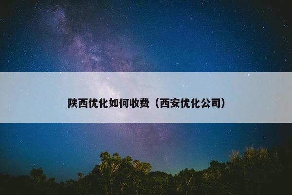 陕西优化如何收费（西安优化公司）