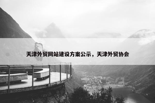 天津外贸网站建设方案公示，天津外贸协会