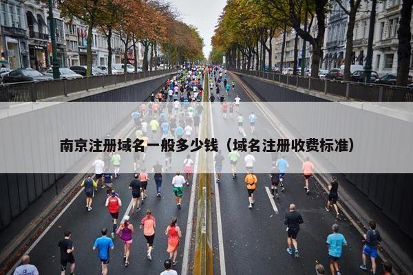 南京注册域名一般多少钱（域名注册收费标准）