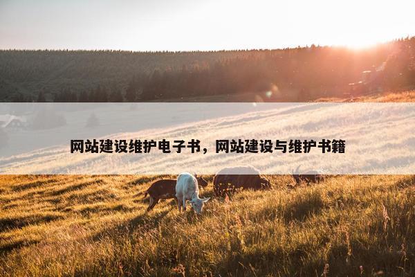网站建设维护电子书，网站建设与维护书籍