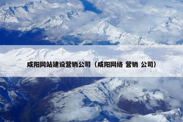 咸阳网站建设营销公司（咸阳网络 营销 公司）