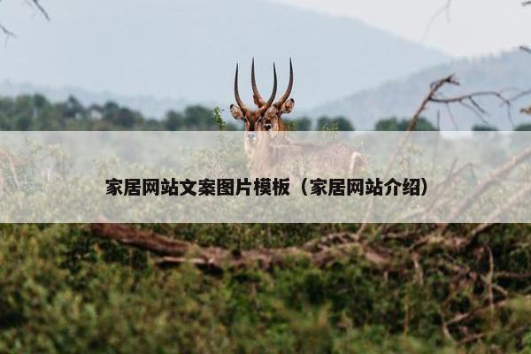 家居网站文案图片模板（家居网站介绍）