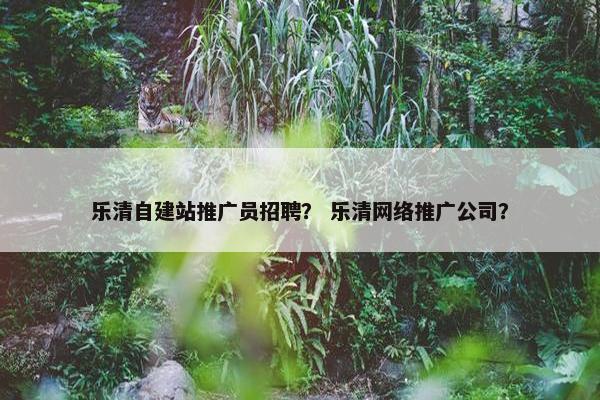 乐清自建站推广员招聘？ 乐清网络推广公司？